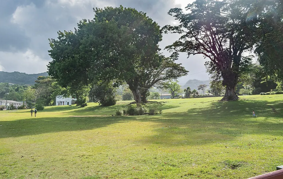 The main lawn of the Dominica Botanic Gardens, with tall trees, a few walkers and the hills behind under a cloudy sky